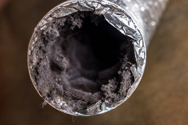 Best Duct Cleaning Specialists  in Hudson Bend, TX